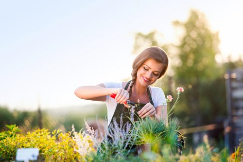 Accessible landscaping Muswellhill website content on a screen