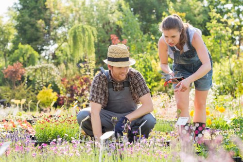 Team introducing landscaping services in Muswell Hill garden setting
