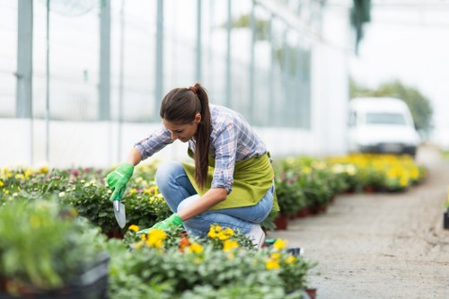 Accessibility improvements for landscaping Muswellhill information
