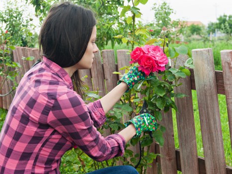 Gardening and landscaping pricing for a Muswell Hill home with tidy front garden