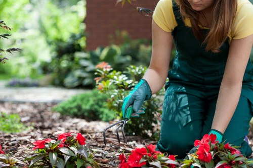 Example of waste volume and load-based landscaping quote in Muswell Hill