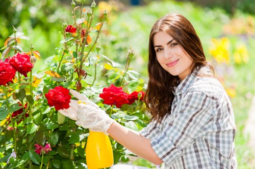 Payment and quotation documents for landscaping work