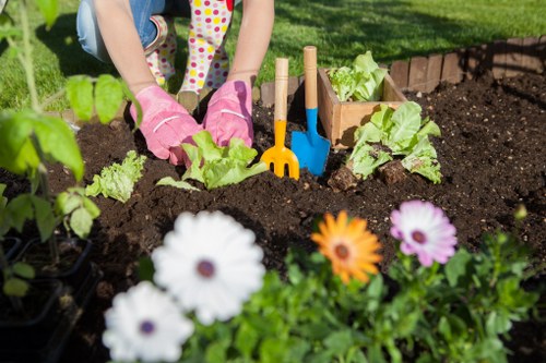 Professional landscaping features for a residential garden in Muswellhill