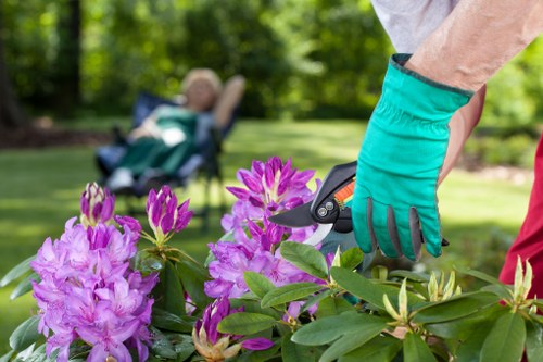 Updating a landscaping complaints policy for better service standards