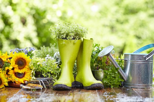 Standing water problem in a local Muswellhill garden