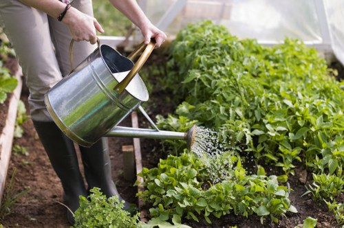 Resolving a landscaping complaint through a clear and fair process