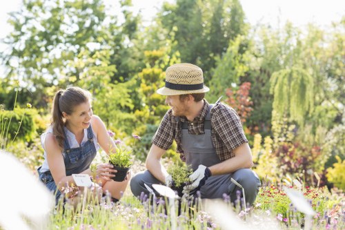 Recycling and composting activity in a Muswellhill garden