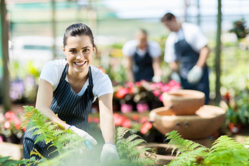 Public liability insurance concept for landscaping services